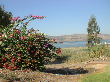 ete 08 096