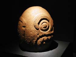 MXicoi