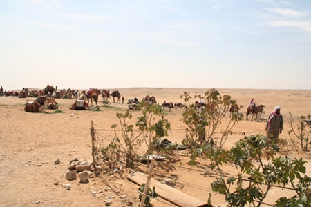 Egypteeclipse09